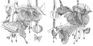 Раскраски божья коровка с бабочками