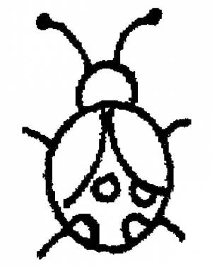 Раскраски коровка, Раскраска Круглая божья коровка Божья коровка