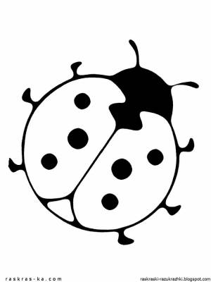 Божья коровка раскраска для детей