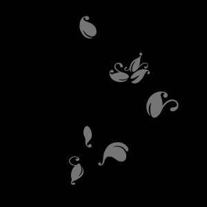 Трафарет Волшебный вьюн