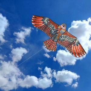 Огромный открытый забавный спортивный змей 1,1 м Eagle Kite, новинка, воздушные змеи, детская игрушка