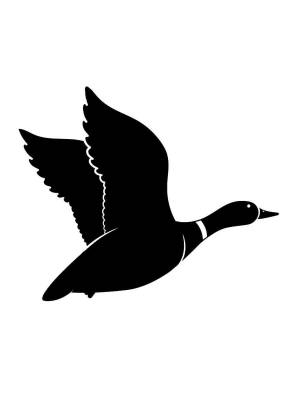 Трафареты Утки