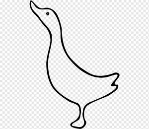 Утка Трафарет Гусь, утка, животные, фауна, живая природа png