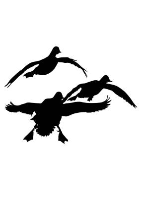 Трафареты Утки