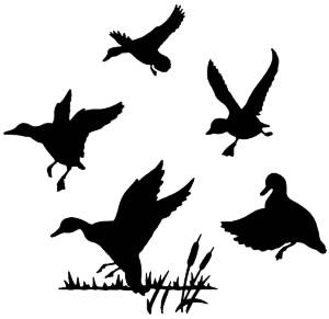 Трафареты Утки