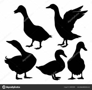Черный Силуэт Утки Гуся Изолированный Простой Шаблон Векторной Иллюстрации Векторное изображение ©great19 236943098