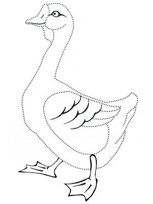 Раскраска Утка