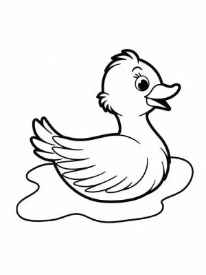 Раскраски Утка