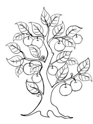 Трафареты Яблони