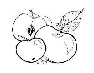 Раскраска Яблоко