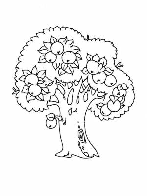 Раскраски Яблоня