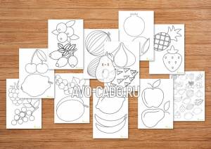 Трафареты фруктов и ягод для вырезания а4   и