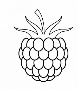 Трафарет малины для рисования
