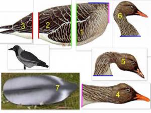 Профиля на гуся