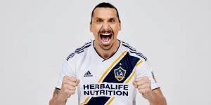 Повелитель Галактики