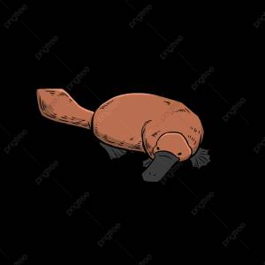 Рука нарисованные утконос PNG , Ручной росписью, утконос, Берегите животных PNG картинки и пнг PSD рисунок для й загрузки