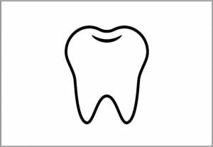 Шаблон Зуба