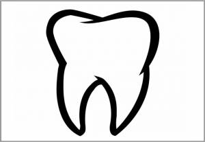 Шаблон Зуба