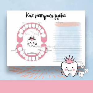 Шаблон прорезывания зубов