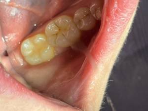 Работы врачей Династия-С