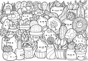 Discover the Adorable World