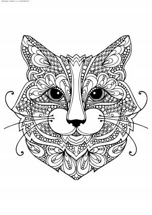 Раскраска Кошка
