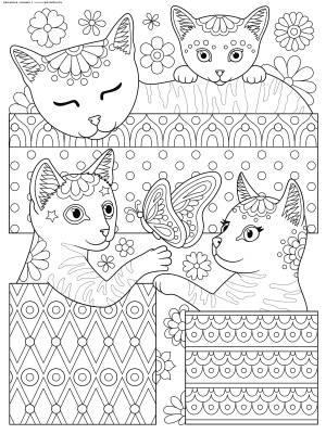 Раскраска Коты в коробках
