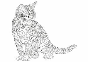Раскраски котики сложные