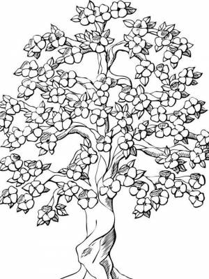Раскраски Антистресс деревья   в формате