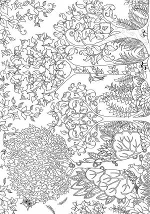 Раскраска антистресс лес