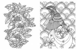 Раскраски антистресс   формат а4
