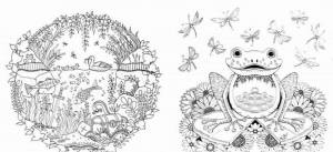 Раскраски-антистресс от Джоанны Бэсфорд