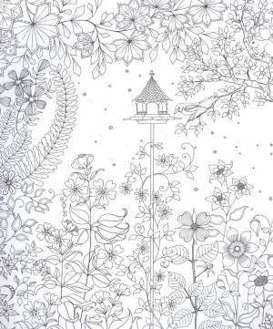 Раскраски-антистресс от Джоанны Бэсфорд