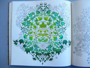 Раскраска антистресс джоанна басфорд