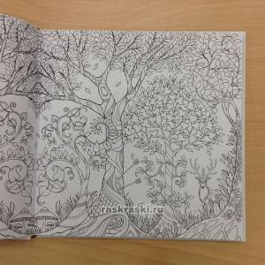 Книга раскраска «Зачарованный лес», Джоанна Басфорд