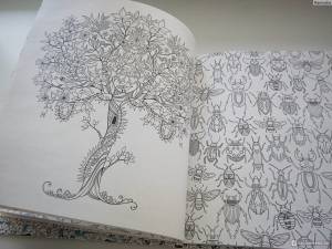 Раскраска антистресс джоанна басфорд