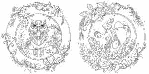 Раскраска Зачарованный лес