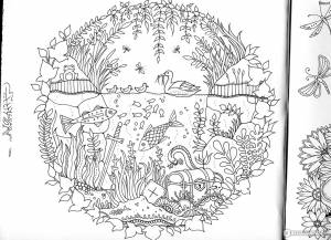 Заколдованный лес