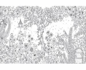 Раскраска антистресс джоанна басфорд