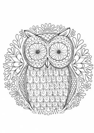 Раскраски узор, Раскраска Узор с совой антистресс