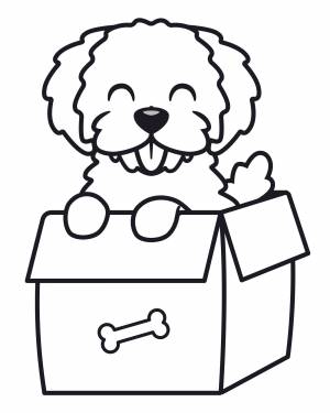 Собачка в коробке