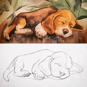 Лежачая собака рисунок