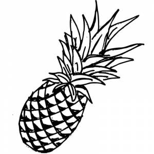 Раскраска крупный ананас