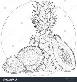Fruits Pineapple Papaya Coconutoloring Book Antistress