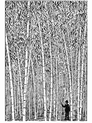 Раскраски Бамбук Антистресс