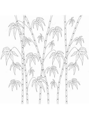 Раскраски Бамбук
