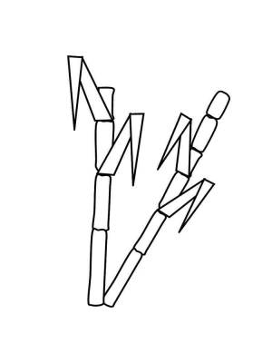 Раскраска Бамбук