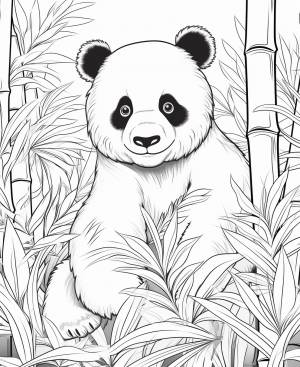 Раскраска панда