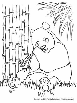 Раскраска панда с бамбуком