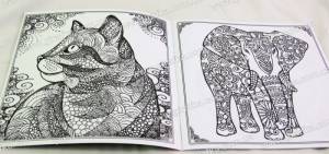 Раскраска антистресс Бамбук в ассортименте